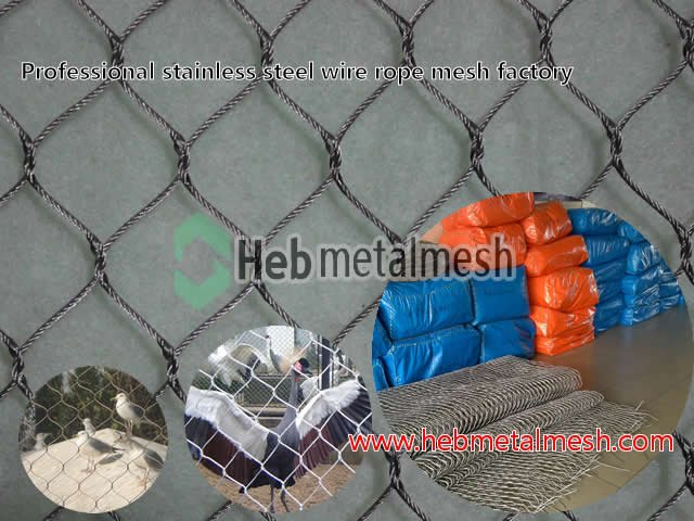 bird aviary fence,aviary bird netting