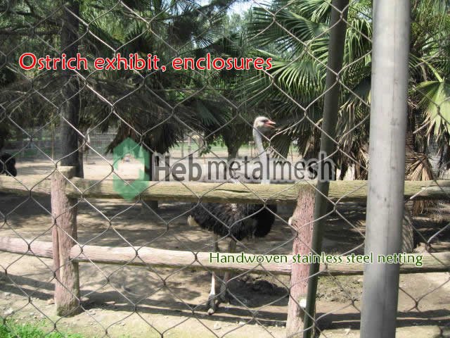 Ostrich exhibit, Ostrich cages, Ostrich enclosures