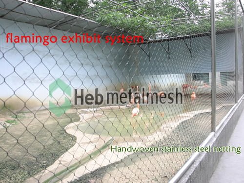 Flamingo exhibit, flamingo cages, flamingo enclosures