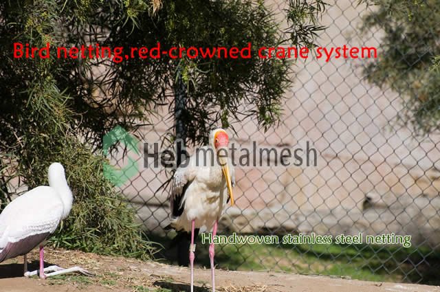 red-crowned crane netting