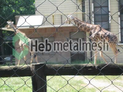 deer protection fence, deer enclosures netting, deer exhibit control mesh specifications