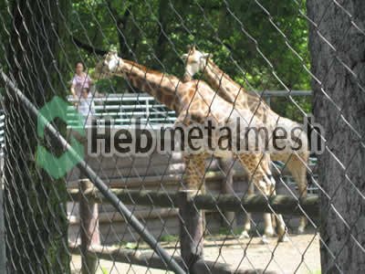 deer exhibit design, zoo deer enclosures plans, zoo deer mesh supplies