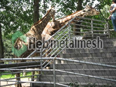 deer cover mesh, deer fencing, deer safety netting for sale