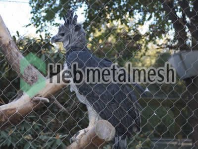 zoo enclousres for eagle exhibit, eagle protection netting, eagle barrier netting for sale