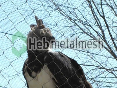 mesh for eagle control mesh, eagle enclousre mesh, eagle cover manufacturer