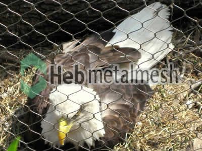 stainless steel eagle roof netting, ealge perimeter mesh, ealge fencing