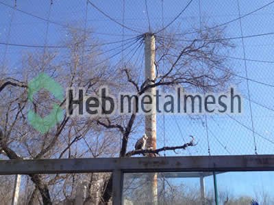 wire mesh for eagle cage mesh, eagle perimeter netting, eagle roof netting supplies