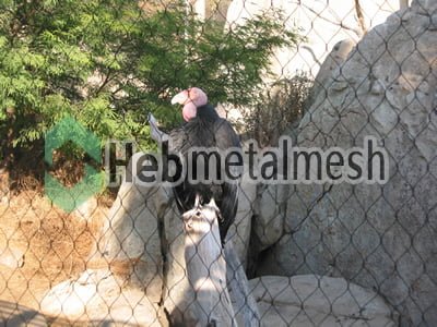 eagle protection fence, eagle enclosures netting, eagle exhibit control mesh specificatons