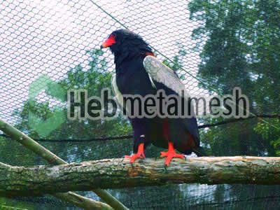 eagle cover mesh, eagle fencing, ealge safety netting for sale